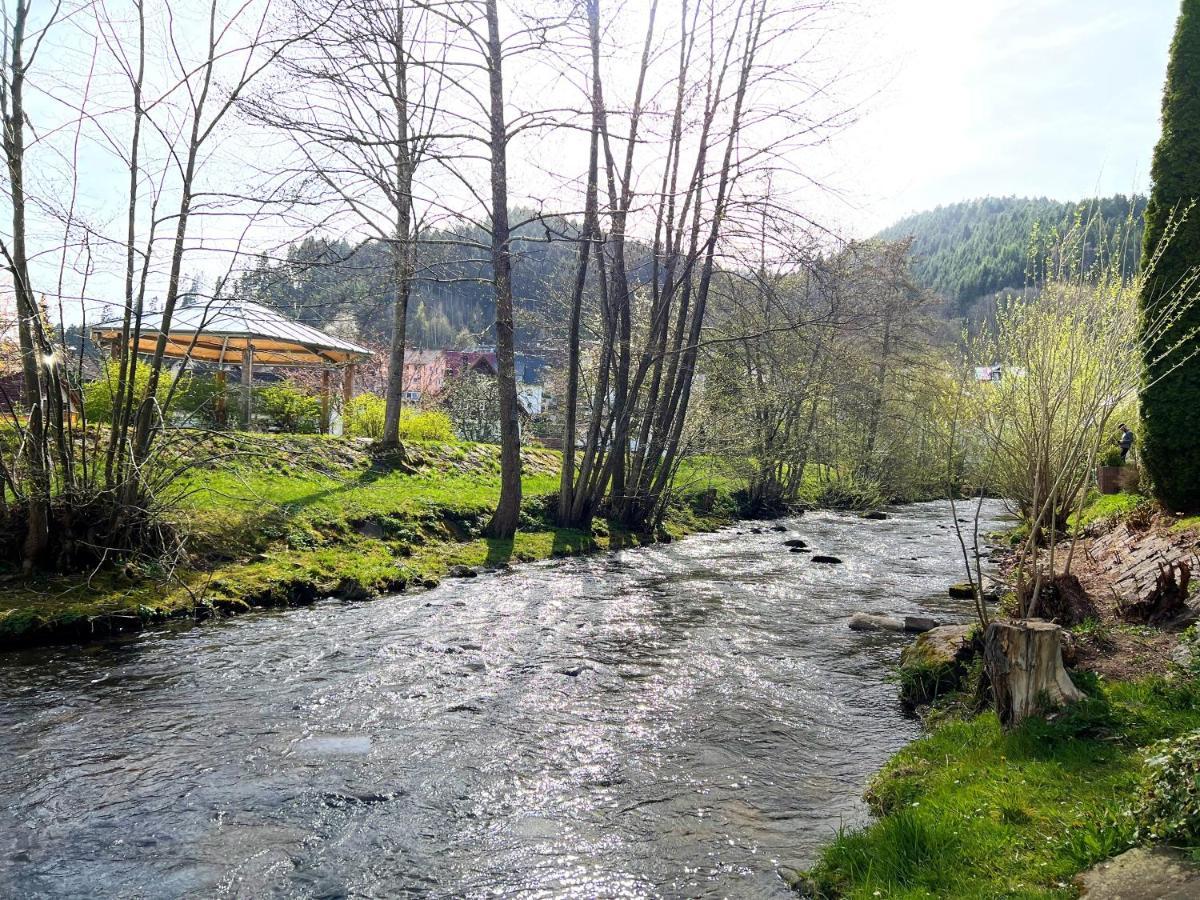 Ferienwohnung Kinzigblick - Balkon - Fuer Kinder - Mit Bettwaesche & Handtuecher Schenkenzell Esterno foto